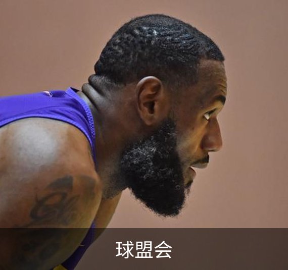 球盟会简介
